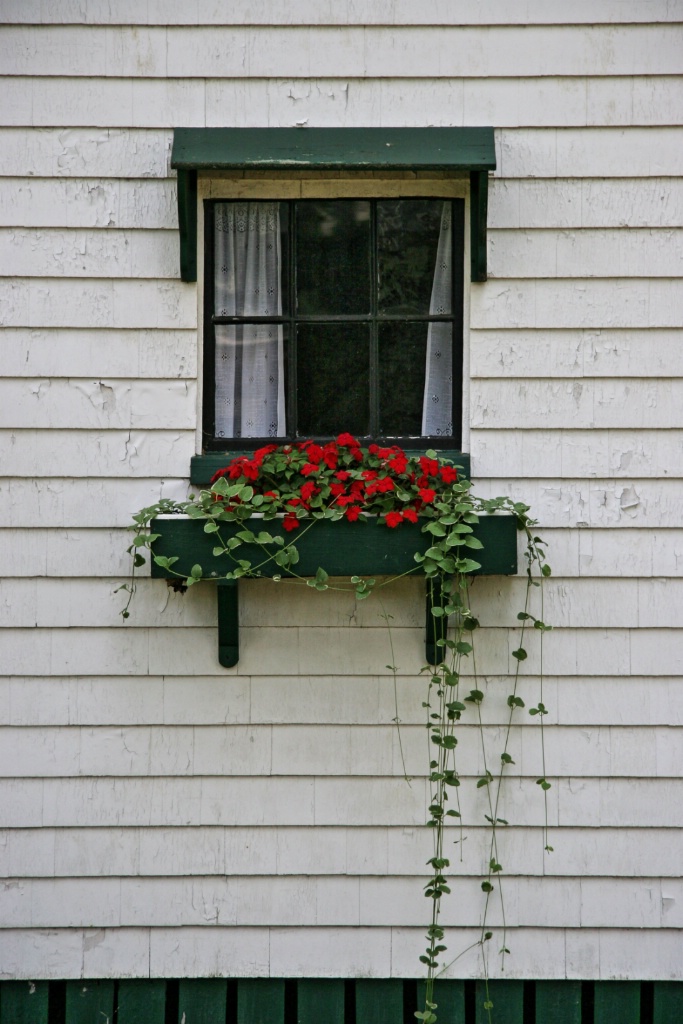 Flower box window