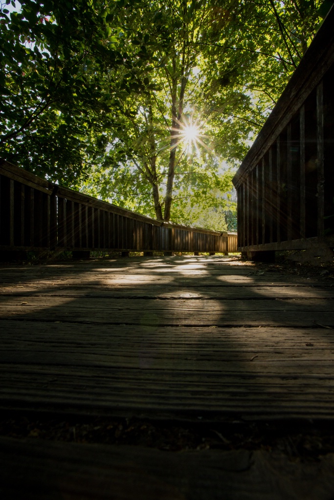 Shadows on the Walk