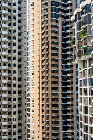 Windows and Balconies