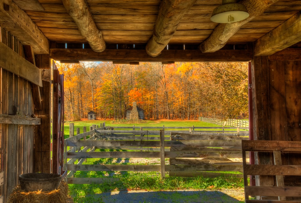 Through the Barn Door