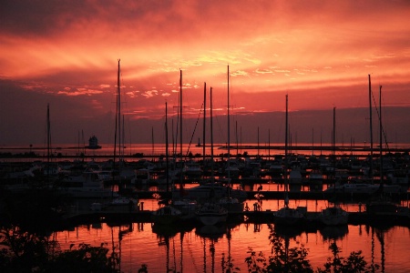 sunset at the marina 