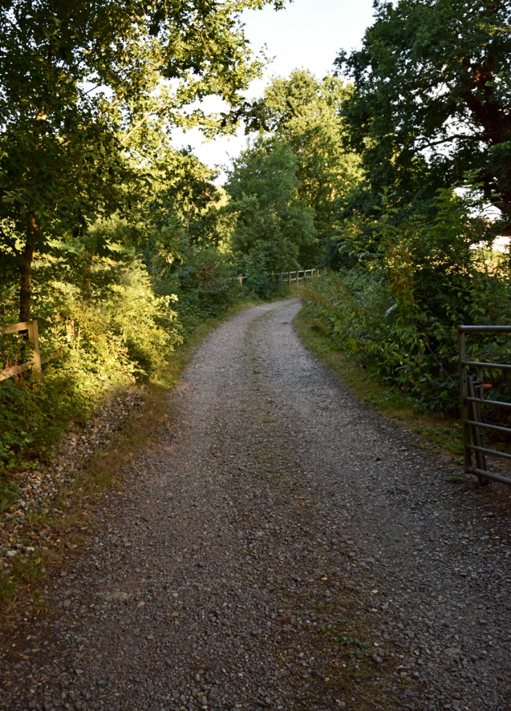 Countryside track! 