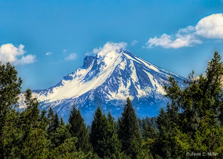 Mount Hood