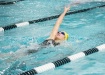 Backstroke