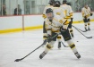 Hockey