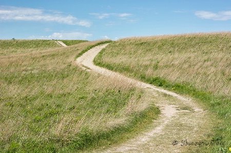 Flint Hills