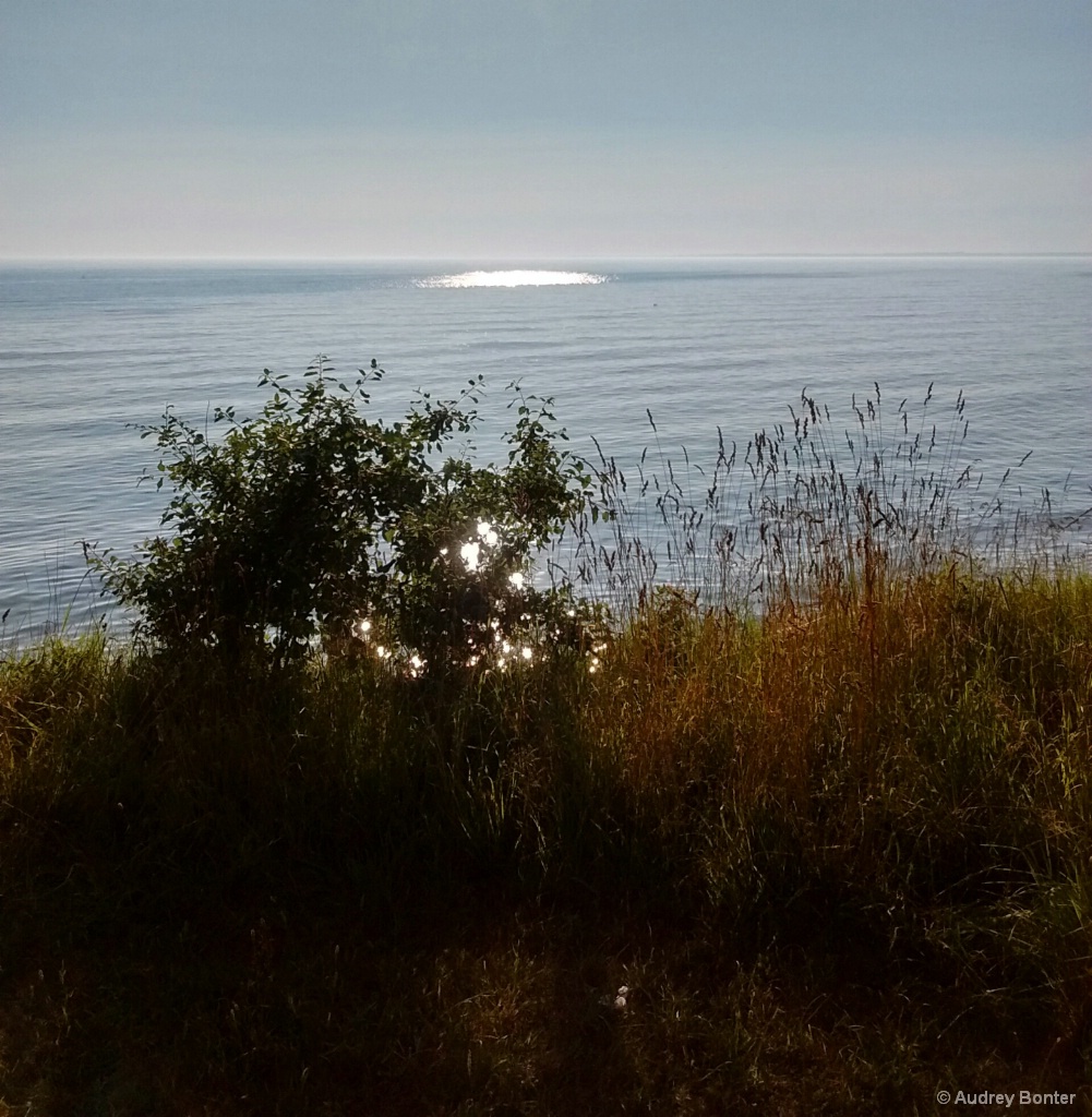 Lakeshore