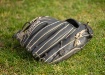 Fielders Glove