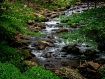 Babbling Brook