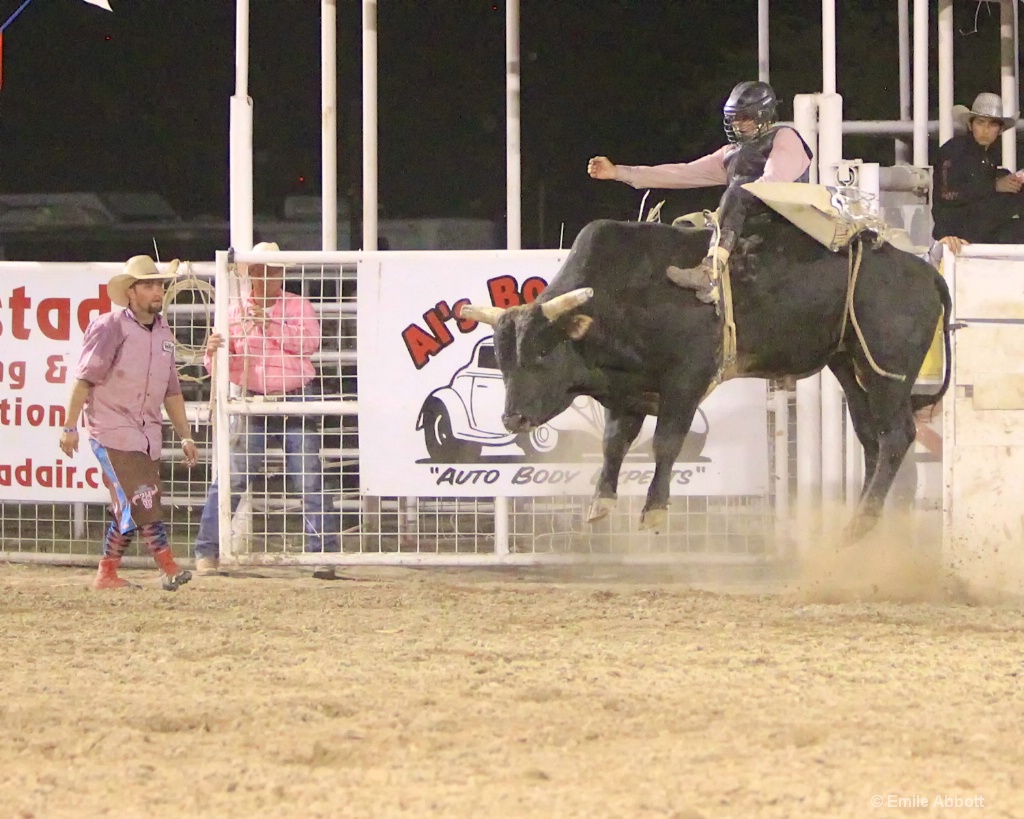 High flying bull - ID: 15600940 © Emile Abbott