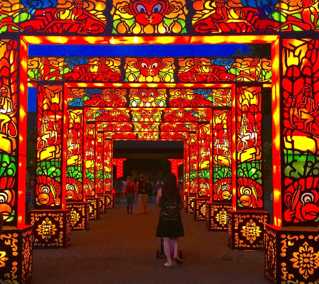 Asian Lantern Festival Display