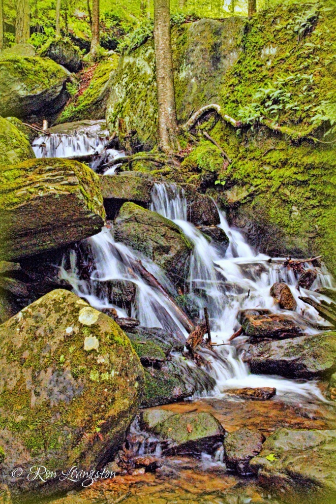 Bent Run Falls Cascade