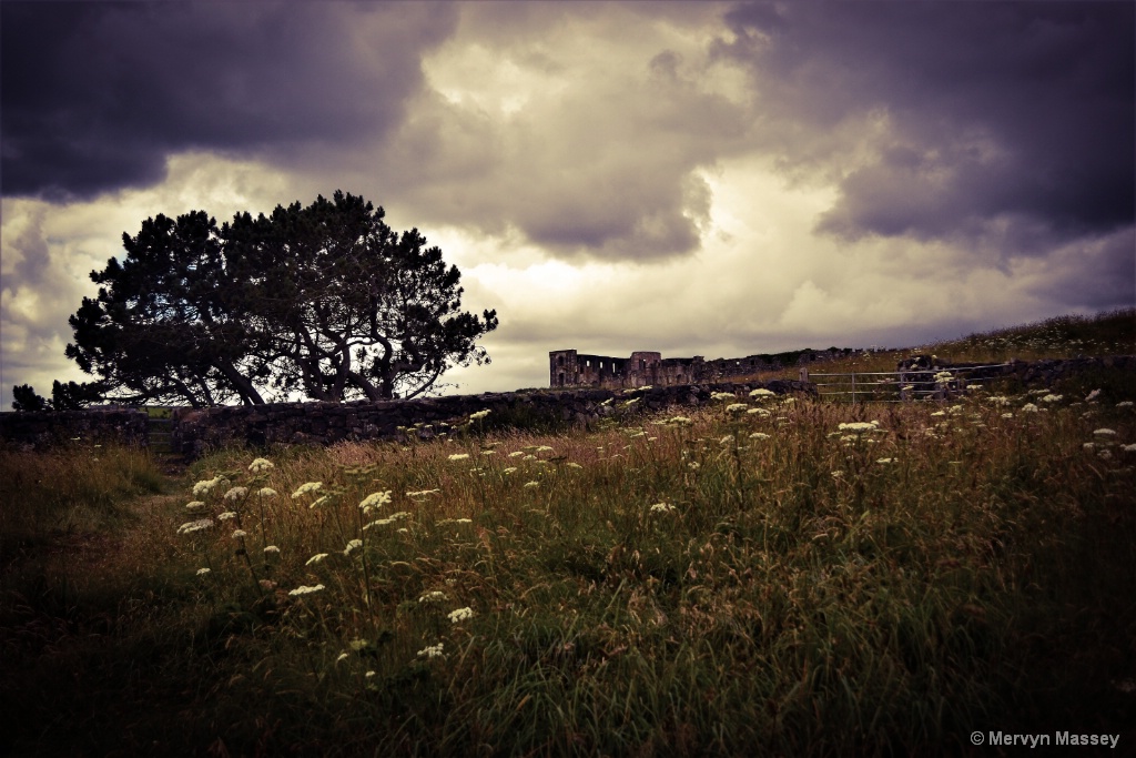 Downhill Demesne