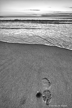 A footmark, A seashell