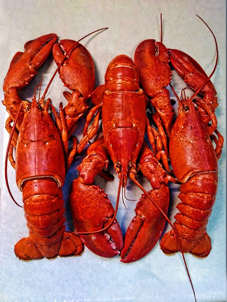 Lobsters