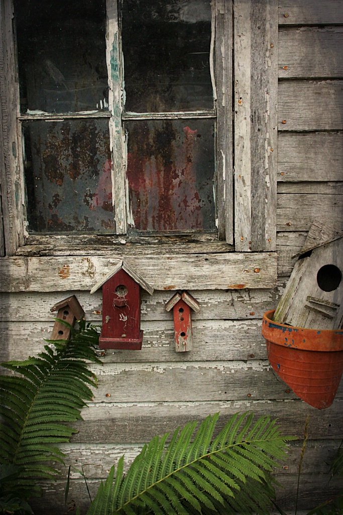 Old Window With Birdhouses