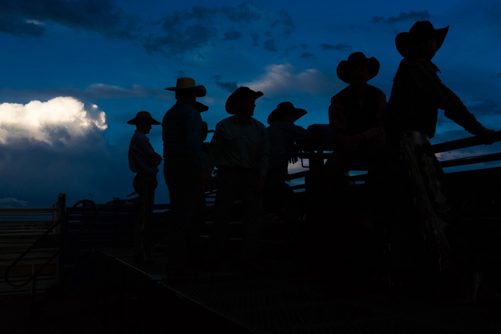Rodeo Cowboys  - ID: 15601382 © Stanley Singer
