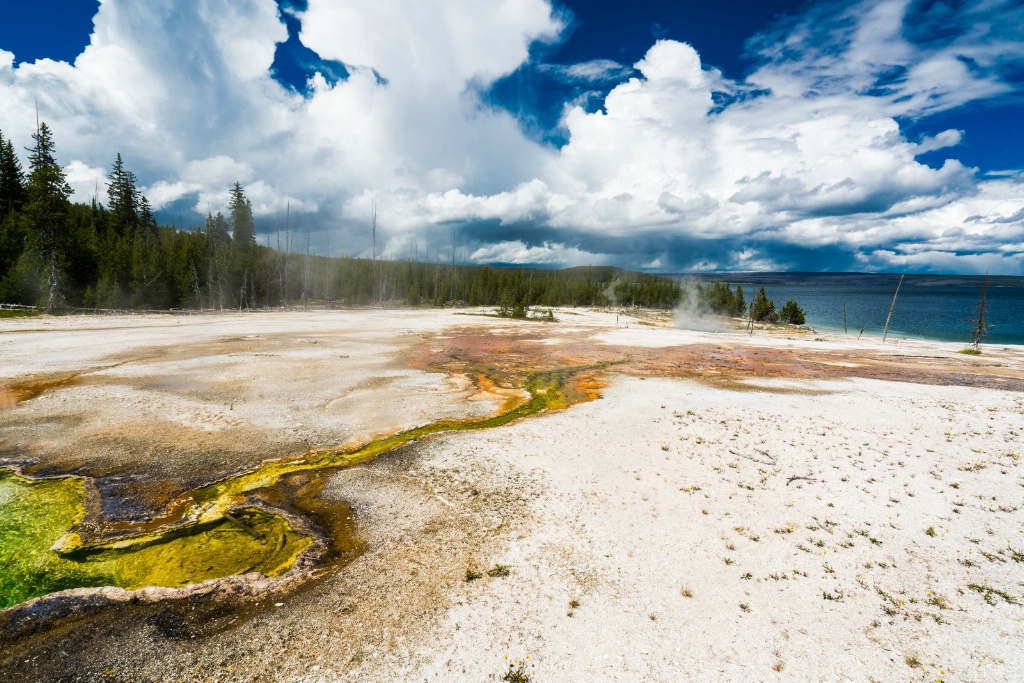 Yellowstone Green  - ID: 15601412 © Stanley Singer