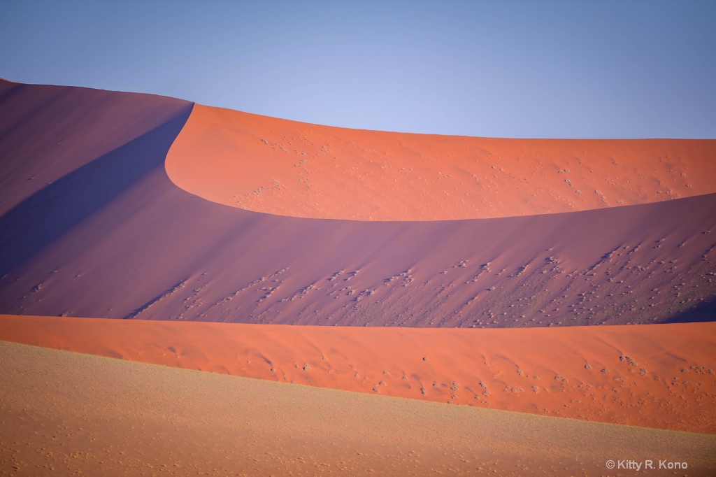 Sand Dunes - ID: 15601768 © Kitty R. Kono