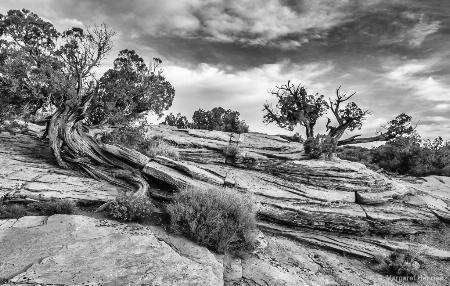 Moab Landscape