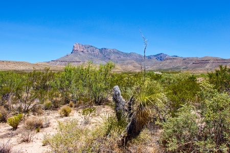 Guadalupe Mountains