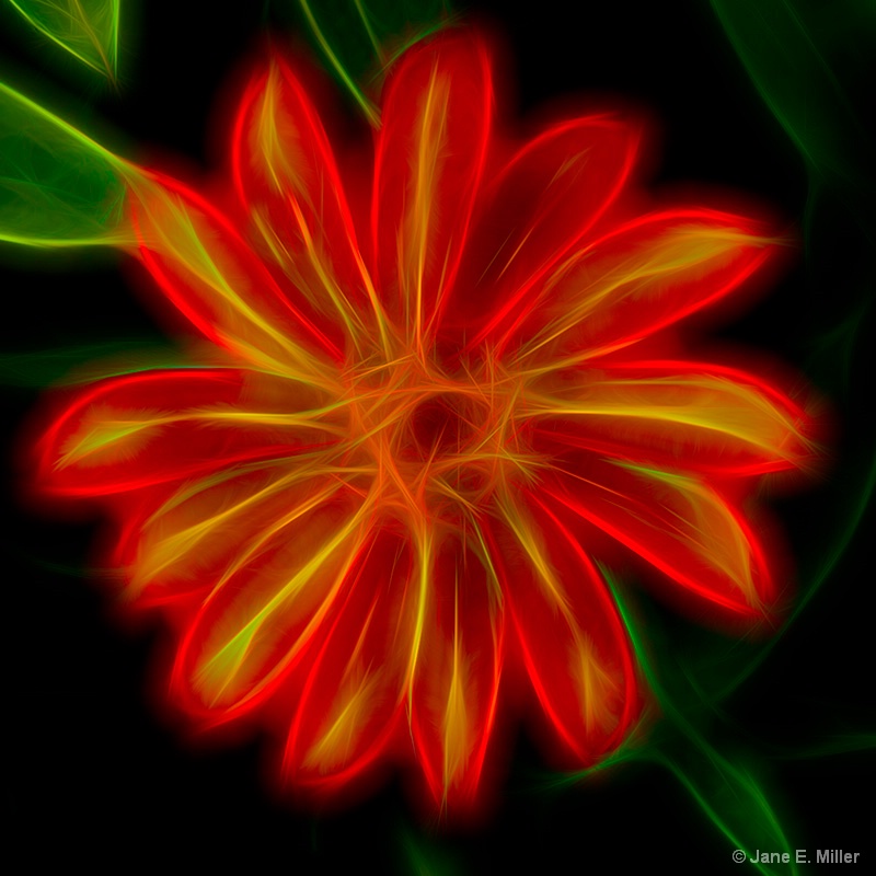 Glow Flower
