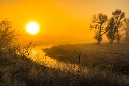 Misty sunrise 