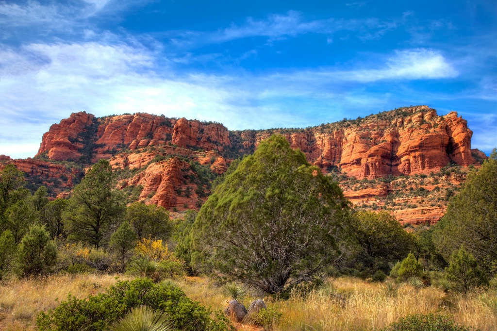 Red Rock and Tree