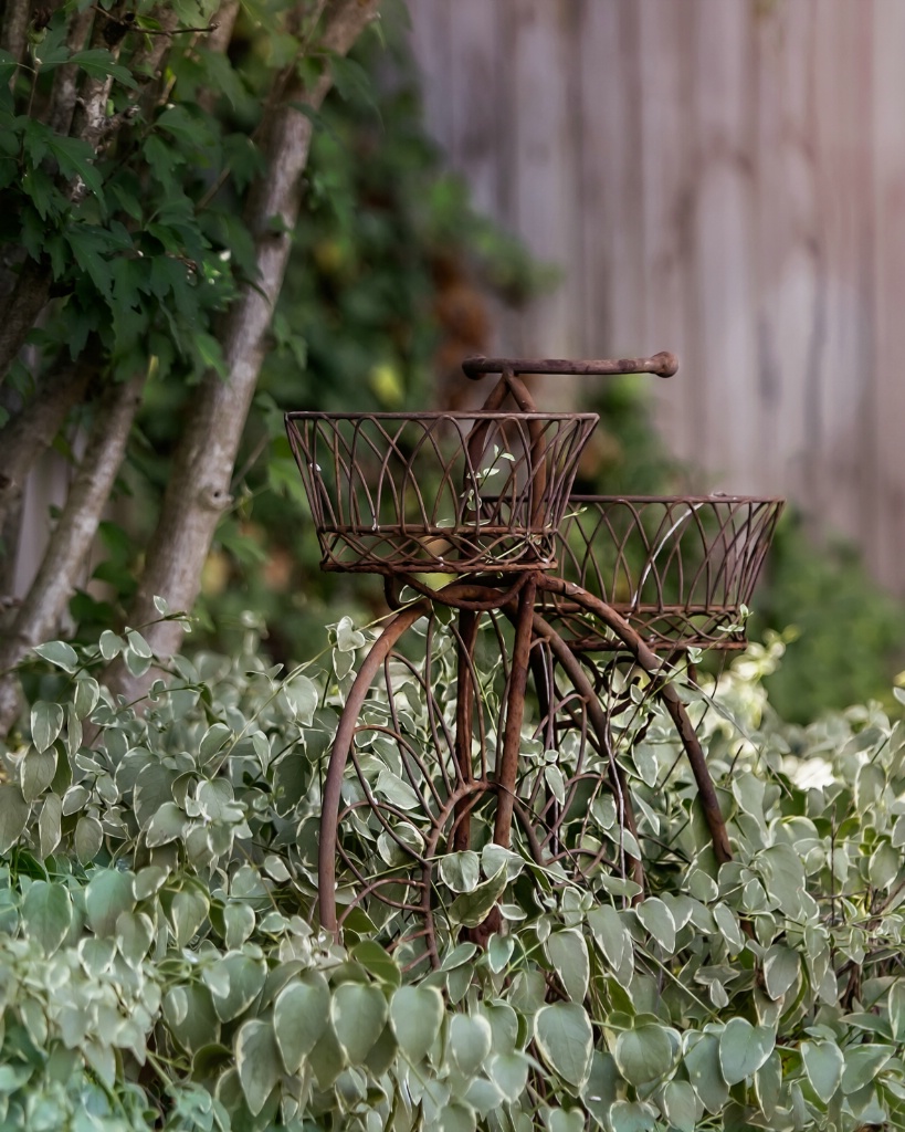 Garden Bike