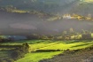 Beautiful Land