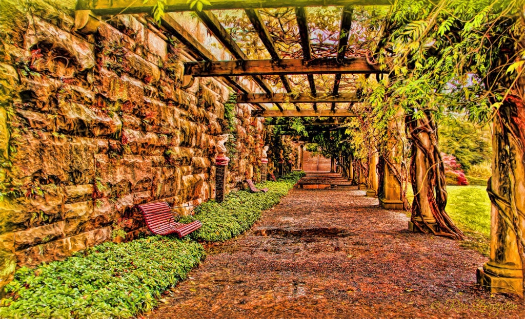 Pergola