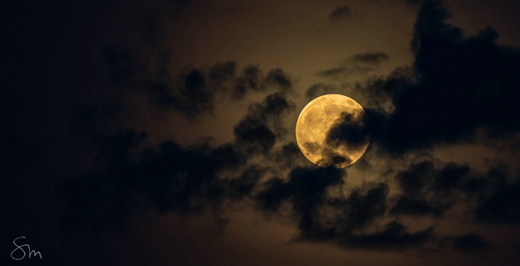 Full Moon Hiding - ID: 15611273 © Sibylle G. Mattern