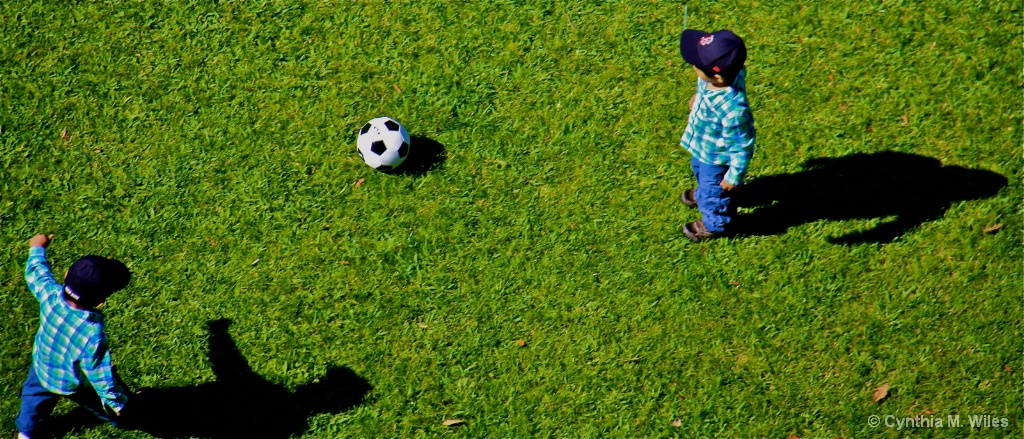 Twin Boys (With Twin Shadows)