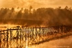 Bamboo Bridge