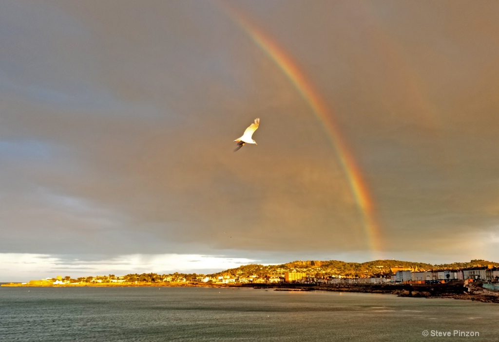 Start of a rainbow - ID: 15612119 © Steve Pinzon