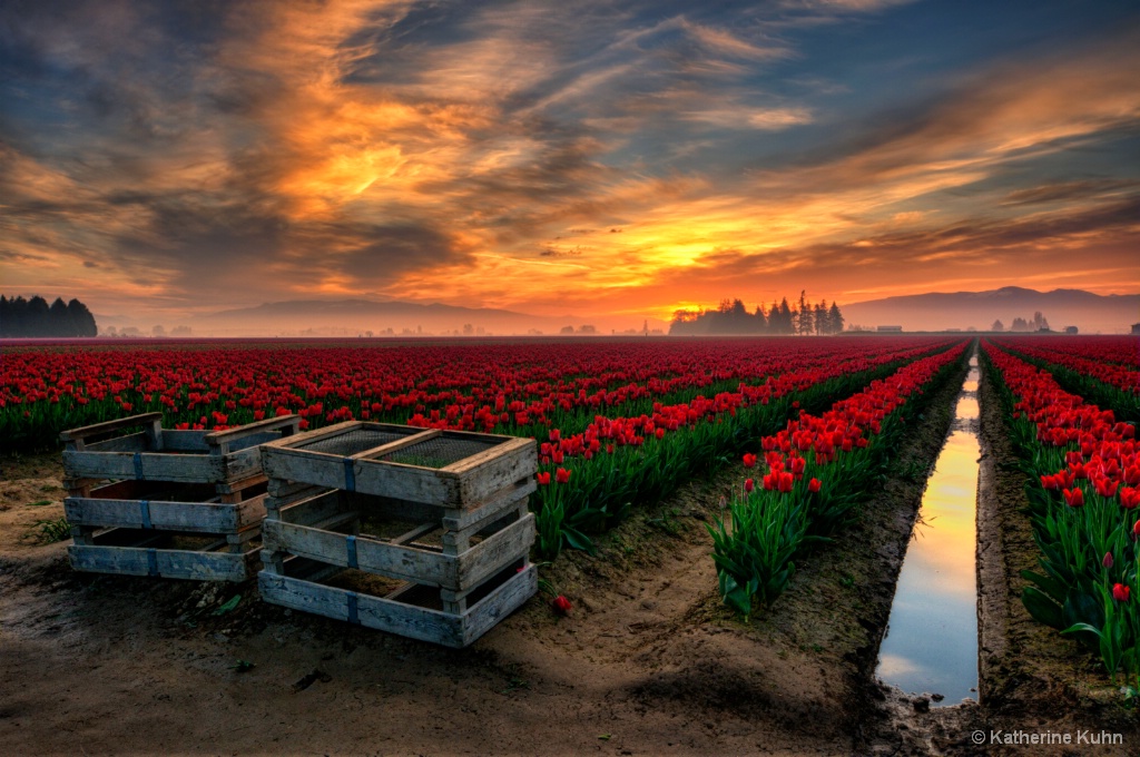 Skagit Valley Dawn