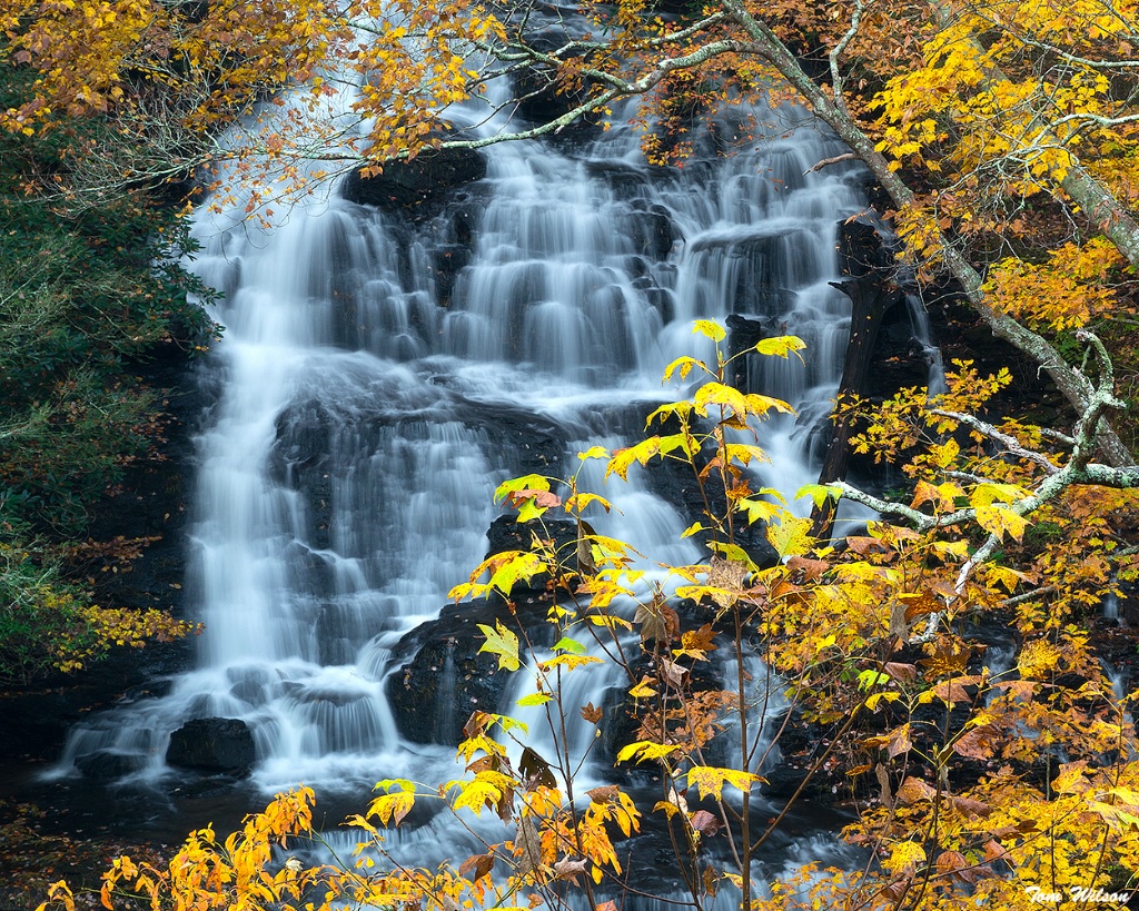 Trahylta Falls, Vogel State Park