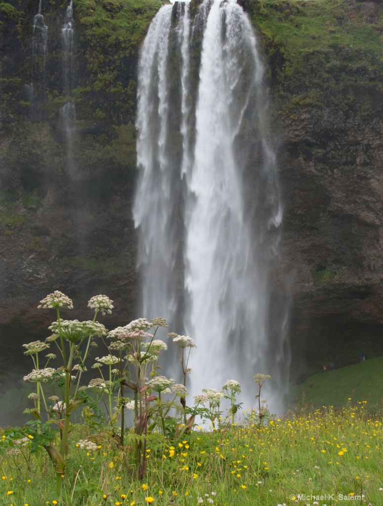 Waterfall in a Row of Waterfalls