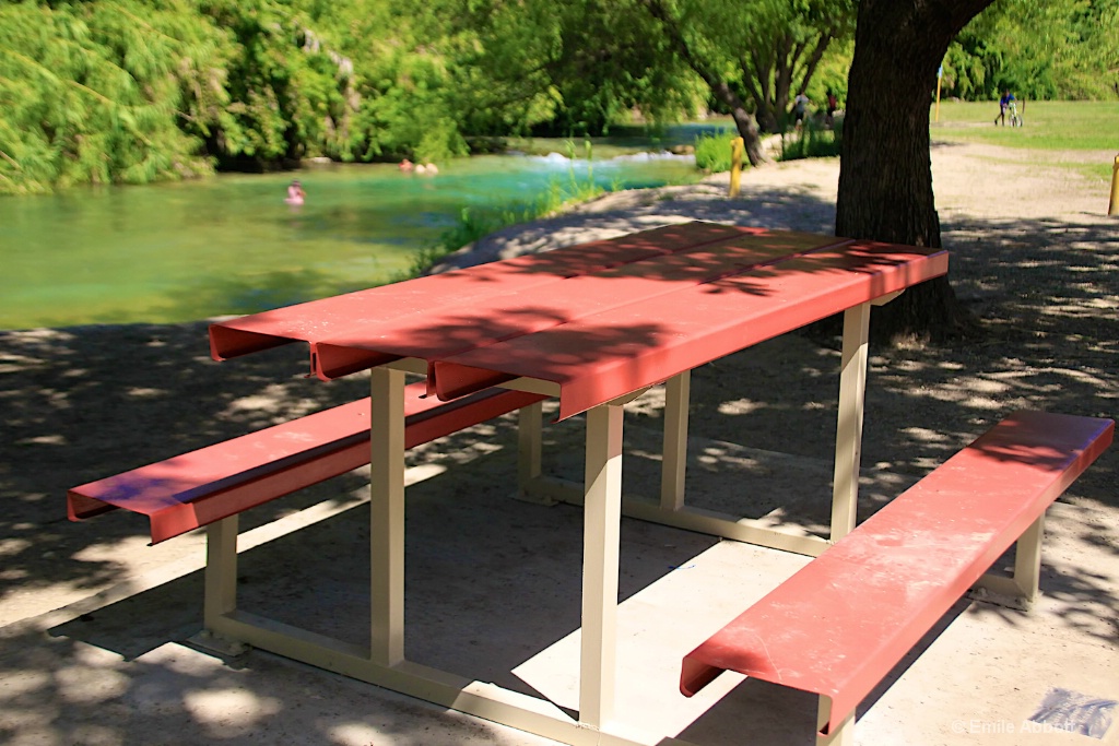 Table thanking me for Rotary Park