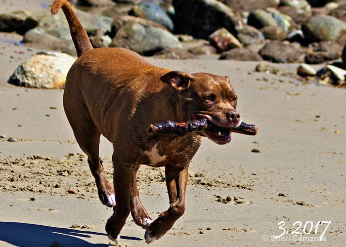 Getting Some Air - ID: 15613389 © Sheri Camarda