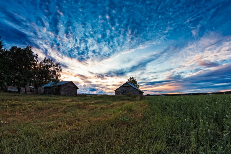 Two Old Barn Houses In The Late Summer Sunset