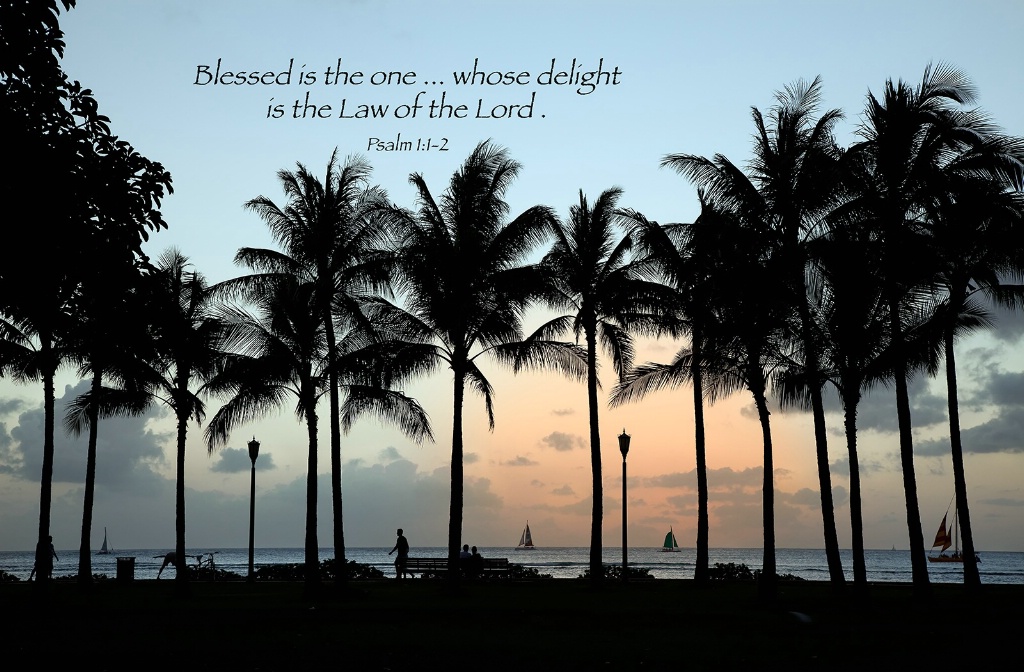 Beach Sunset 3 / Psalm 1:1-2 - ID: 15615936 © Leland N. Saunders