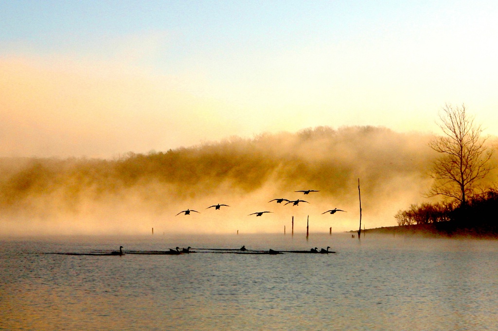 Table Rock Morning