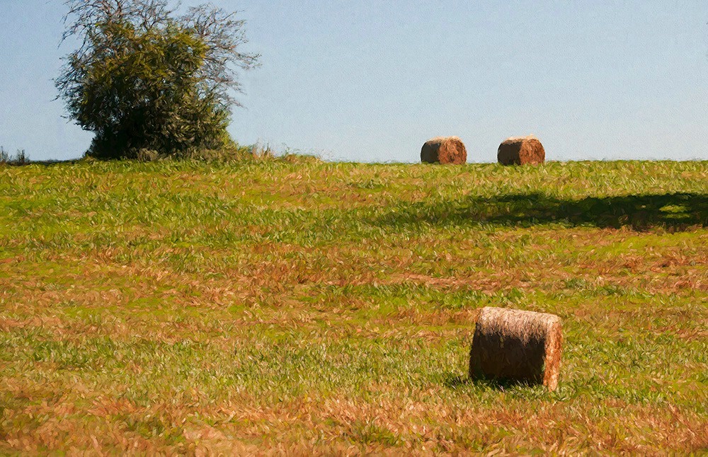 Hay Bales