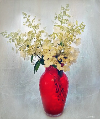 Hydrangeas in Red Vase