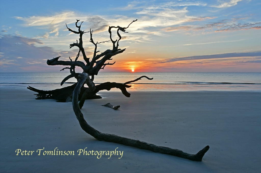 Sunrise 2, Driftwood Beach