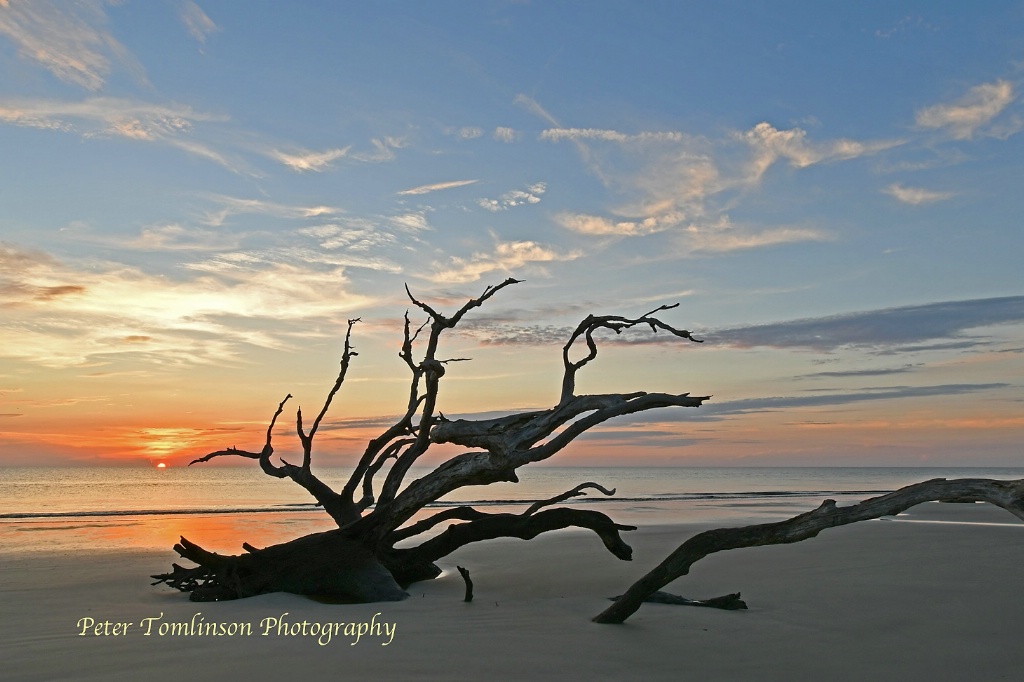 Sunrise 1, Driftwood Beach