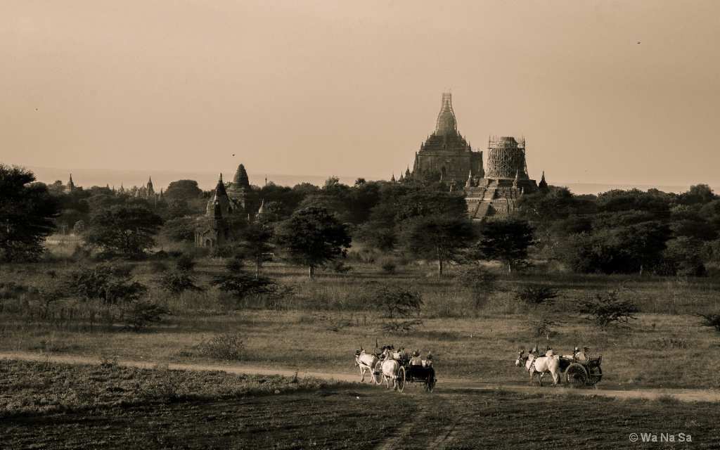 Good evening Bagan.