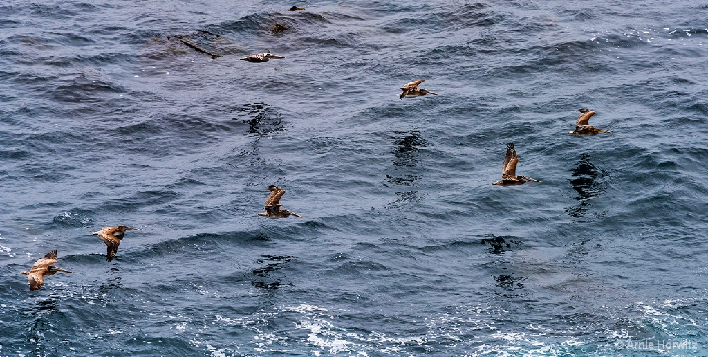 In Flight
