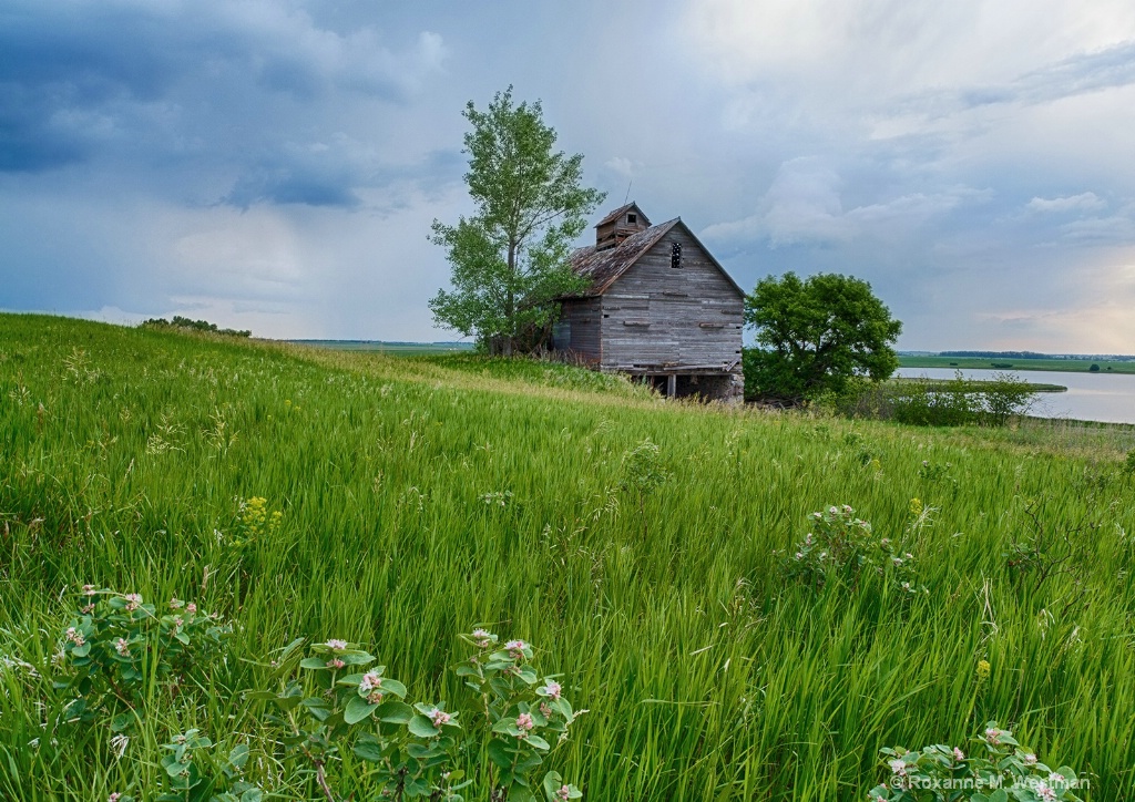 Incoming storm on the abandoned granary - ID: 15618030 © Roxanne M. Westman